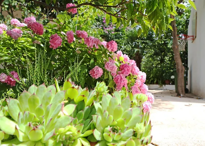 With Parking Space Bibinje, Zadar - 18843 *